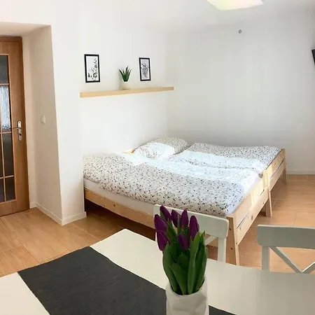 Plne Vybaveny Na Upati Jizerskych Hor Apartment Reichenberg