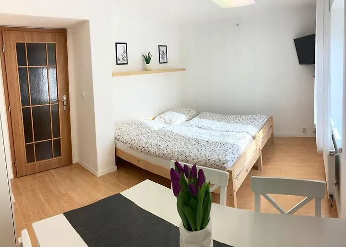 Plne Vybaveny Na Upati Jizerskych Hor Apartman Liberec